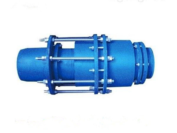 �o�������D�a����